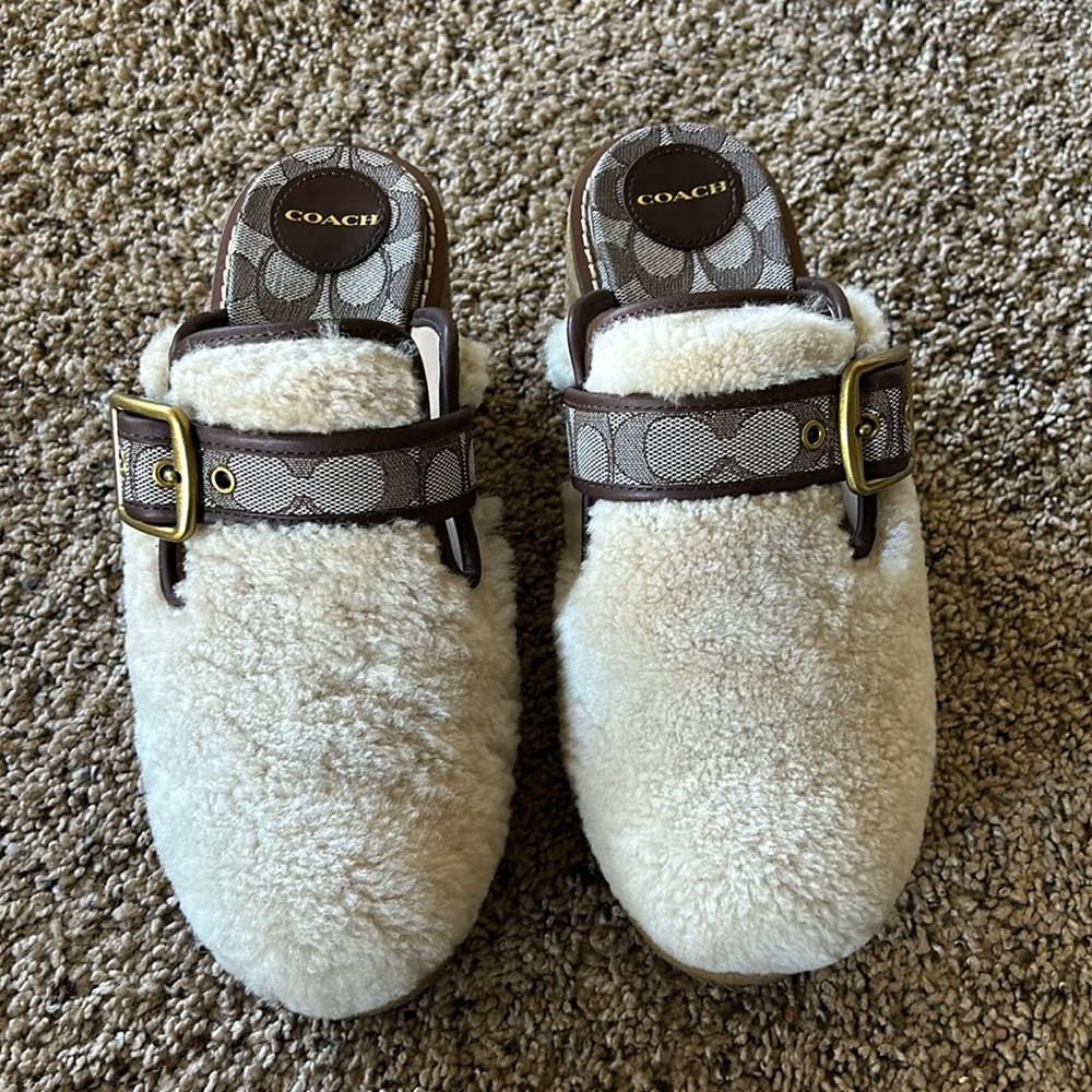 Women’s Coach Dylan Shearling Buckle Platform Clogs Hippie